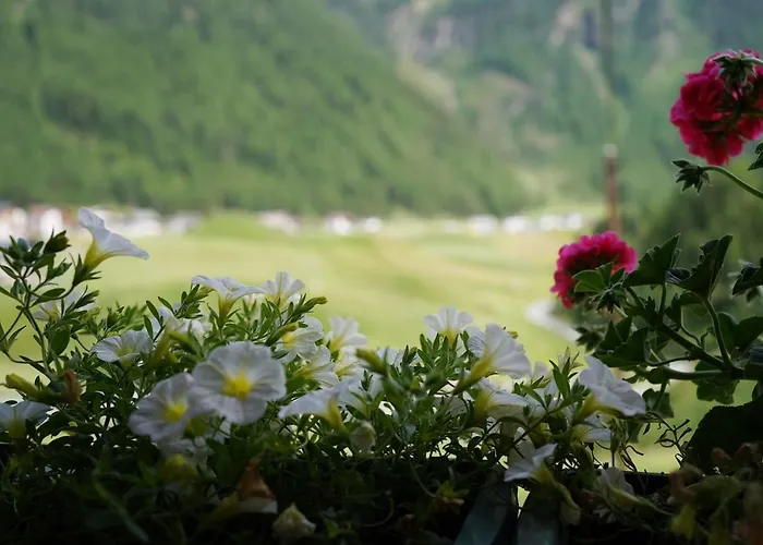 Διαμέρισμα Sonnenhof Niederthai