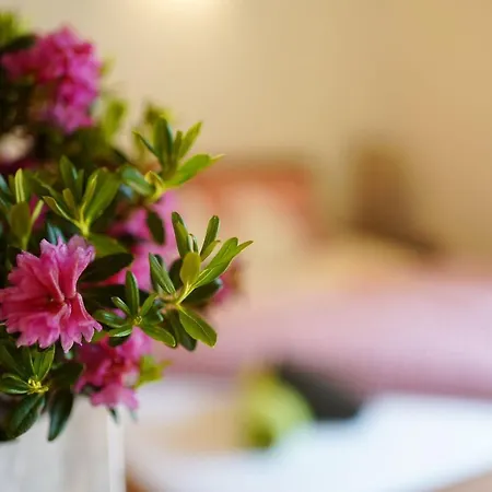 Apartamento Sonnenhof Niederthai